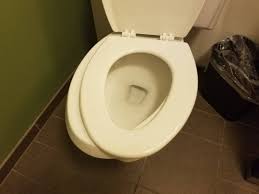 wobbly toilet seat